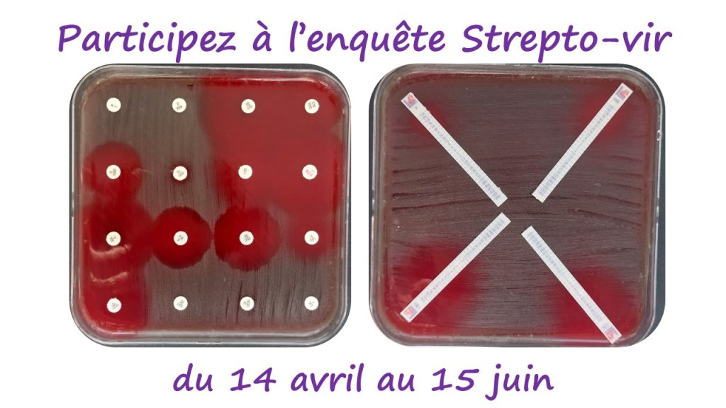 flyer enquête strepto vir 2025